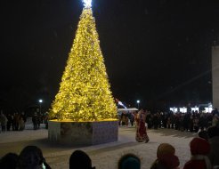 Торжественное открытие ёлок