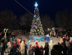 Торжественное открытие ёлок